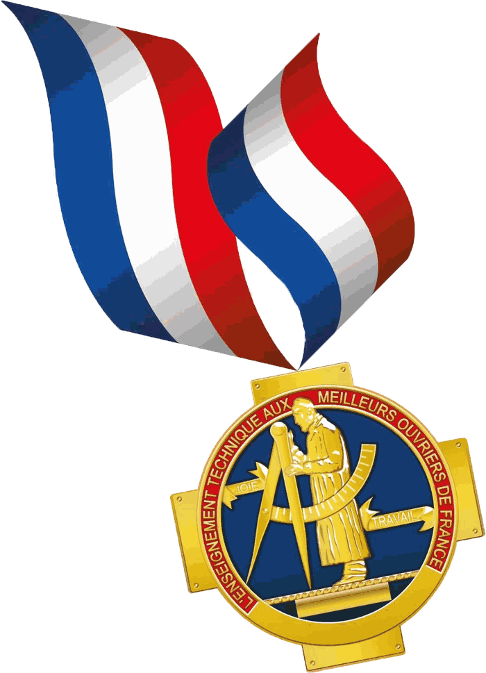 Médaille de Meilleur Ouvrier de France, ruban tricolore